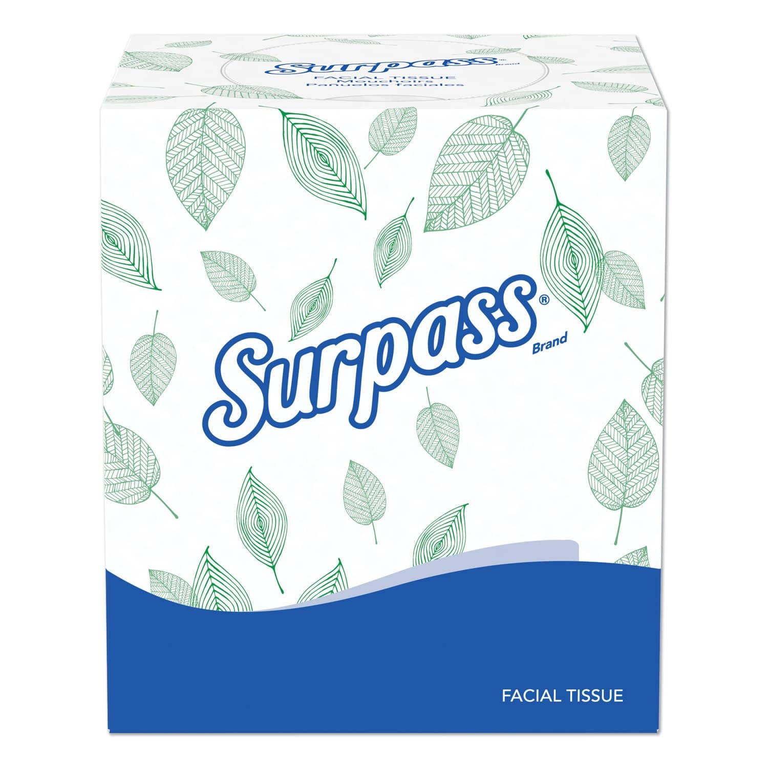 Surpass C1958353