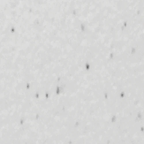 Hadrian C2611110-219